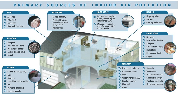 Diagram of Indoor Air Pollution Sources