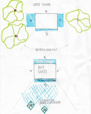 Passive solar design illustration for shading and landscaping